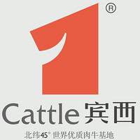 賓西品牌故事-logo設(shè)計(jì)分析(圖1)