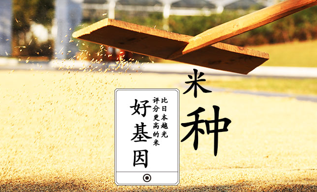 一號農(nóng)場品牌logo與食品包裝設(shè)計欣賞(圖4)