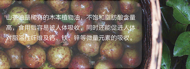 山潤山茶油食品包裝設(shè)計欣賞(圖2)