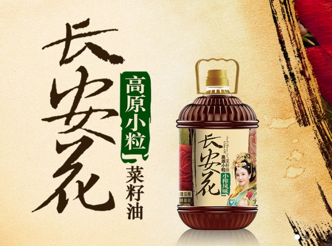 長(zhǎng)安花食品包裝設(shè)計(jì)欣賞(圖2)
